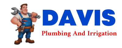 Trusted plumber in SWEDEBORG